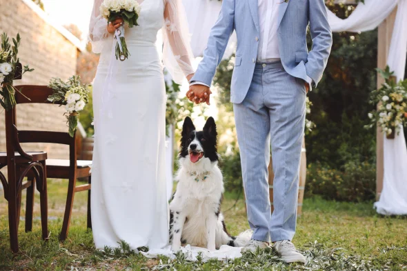 Bride and groom wedding with dog